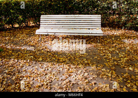White retrò panca in legno in autunno il parco della città e foglie Foto Stock