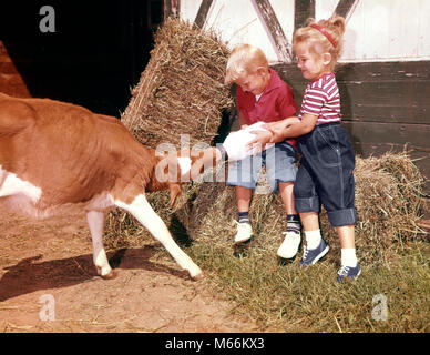 Anni sessanta DUE BAMBINI AGRITURISMO IN AIA ragazzo biondo ragazza il fratello la sorella di alimentazione vitello JERSEY BOTTIGLIA DI LATTE - kf3088 HAR001 HARS femmine fratelli amicizia rurale di metà lunghezza VACCA AGRICOLTURA CURA L' ALIMENTAZIONE DI ANIMALI FRATELLI SORELLE DI VITELLO NOSTALGIA AGRICOLTURA convivere 3-4 ANNI UN ANIMALE 5-6 anni bestiame giovane felicità nutrire bevanda avventura Divertimento ricreazione la crescita di pari livello concettuale di connessione la cooperazione crescere nutrimento creatura novellame maschi mammifero di Aia di etnia caucasica in vecchio stile persone Foto Stock