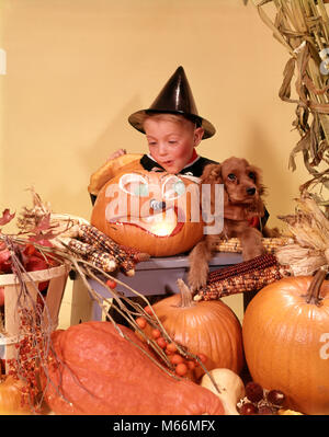 1960s eccitata ragazzo indossa NERO COSTUME STREGA HAT cercando in zucca intagliata Jack-O-Lantern - KH1602 HAR001 HARS SPANIEL LIETA GIOIA LIFESTYLE CELEBRAZIONE STUDIO SHOT UNA SOLA PERSONA HOME VITA STATI UNITI SQUASH SPAZIO COPIA DEGLI STATI UNITI D'AMERICA strega carattere animali in interni AMERICANA NOSTALGIA 7-9 ANNI UN ANIMALE 5-6 anni felicità mammiferi testa e spalle allegro avventura canini emozione O CADUTA STAGIONE STREGHE Jack-O-Lantern scolpito un sorriso gioioso testa concettuale-ware ottobre canine eccitante novellame maschi mammifero Ottobre 31 BLACK HAT etnia caucasica in vecchio stile Foto Stock