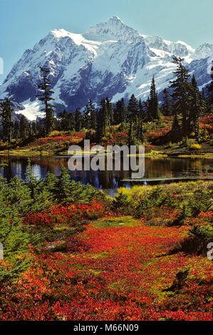 Autunno a Heather prati piramide di vertice MOUNT SHUKSAN Parco nazionaledi North Cascades WHATCOM COUNTY WA USA - kr115204 AUTO003 HARS WA WHATCOM COUNTY Foto Stock