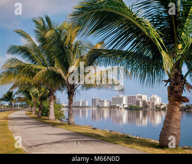 Anni sessanta VISTA DEL CONDADO BEACH HOTEL da strada fiancheggiata da palme SAN JUAN PORTORICO - kr13200 HAR001 HARS SAN JUAN Foto Stock