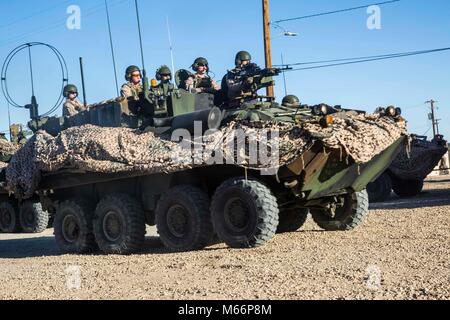 Una luce di comando veicolo blindato con seconda luce corazzato battaglione di ricognizione, seconda divisione Marine, conduce un convoglio durante una distribuzione per esercizio di formazione a Fort Irwin, California, 6 febbraio 2018. Marines sono utilizzate diverse tecniche di camuffamento per compensare l'ambiente desertico e trattati con freddo e condizioni meteorologiche ventose. Lo scopo della DFT era per Marines con 2a LAR per assistere i soldati con la XI Armored reggimento di cavalleria nella loro capacità di condurre una wide-area offensiva e la cattura di un obiettivo aperto. (U.S. Marine Corps foto di PFC. Nicholas Guevara) Foto Stock