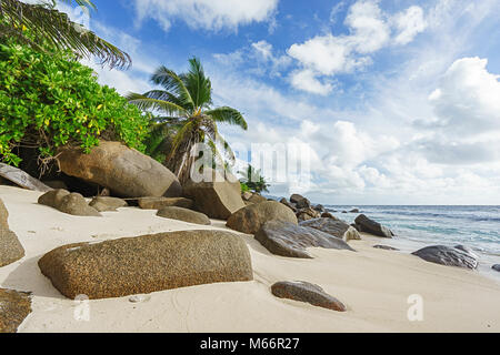 Bella wild tropical beach anse Marie-louise con rocce granitiche e palme nella sabbia delle Seychelles Foto Stock