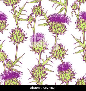 Modello senza cuciture con onopordum acanthium. Scottish thistle Illustrazione Vettoriale