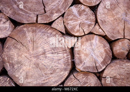 Foto di abbattuto rotondo Foto Stock