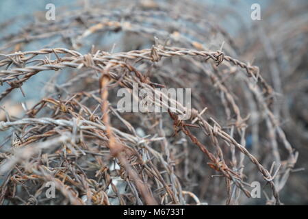 Close up di un rotolo di rusty barb filo Foto Stock