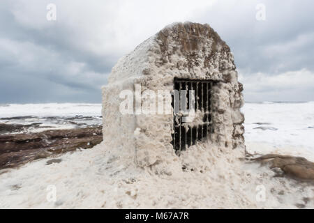 Schiuma di mare sulla costa del Northumberland, causati da acqua di mare agitazione combinate con la materia organica. La casa di polvere a Seahouses è rivestito in schiuma. Foto Stock