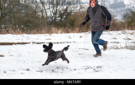 Brighton, Regno Unito. 1 marzo 2018. Regno Unito: Meteo Herbie il snowdog gode giocare nella neve a Ditchling Beacon lungo il South Downs modo appena a nord di Brighton oggi come "La Bestia da est' Arctic Blast e tempesta Emma sparsi per il paese fotografia scattata da Simon Dack Credito: Simon Dack/Alamy Live News Foto Stock