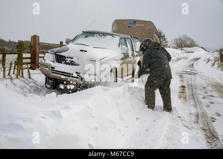 La scheggiatura. 1 Mar, 2018. Regno Unito Meteo: un agricoltore scava la sua trazione a quattro ruote motrici del veicolo e del rimorchio di bestiame al di fuori della tempesta di neve a Chipping, Preston, Lancashire. Credito: John Eveson/Alamy Live News Foto Stock