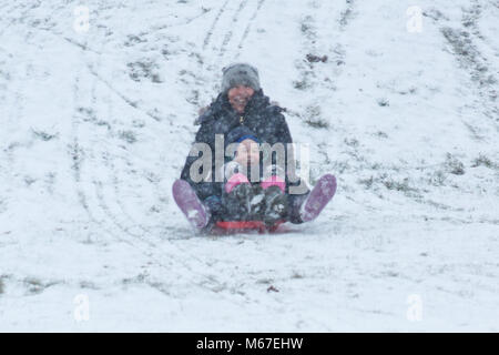 Il cosiddetto 'Bestia da est' soffia nel sud ovest del Regno Unito portando la nevicata causando gravi interruzioni di viaggio Foto Stock
