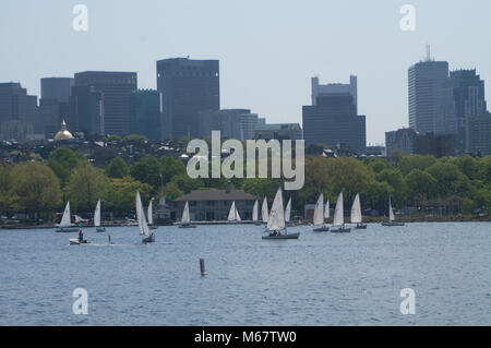 Barche a vela sul fiume Charles come visto da Cambridge. Beacon Hill può essere visto dallo sfondo Foto Stock