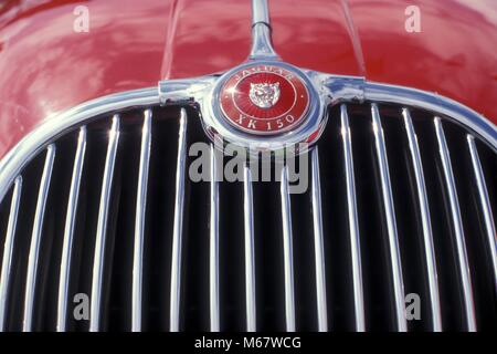 Close up dettaglio foto di chrome la griglia del radiatore di una Jaguar XK 150 con il badge Foto Stock