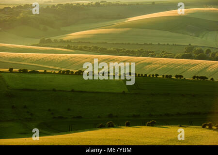 La vista dal freddo Coombes nelle vicinanze del Lewes sulla South Downs su un caldo tardo pomeriggio estivo. Foto Stock