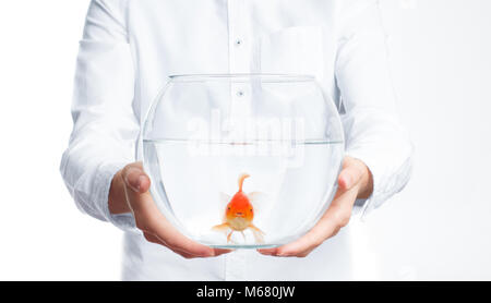 Pesce d'oro con fishbowl isolamento su sfondo bianco Foto Stock