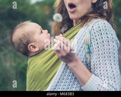 Una giovane madre con un bambino in una imbracatura soffia i semi da un dente di leone Foto Stock