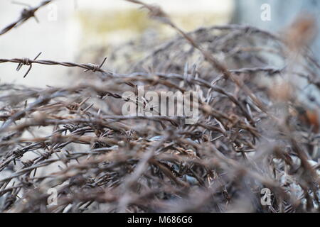 Close up di un rotolo di rusty barb filo Foto Stock
