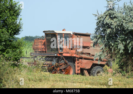 Vecchio arrugginito mietitrebbia. Trebbiatrici mietitrebbia macchine agricole. La macchina per la mietitura di raccolti di grano. Foto Stock