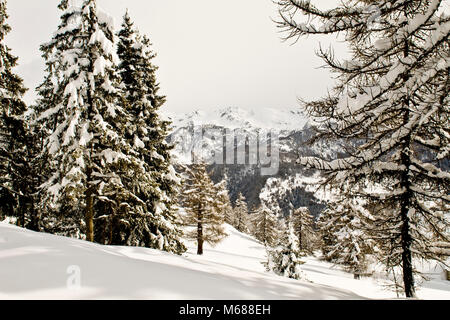 Paesaggi invernali, Torgnon, Valle d'Aosta, Italia Foto Stock