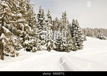 Paesaggi invernali, Torgnon, Valle d'Aosta, Italia Foto Stock