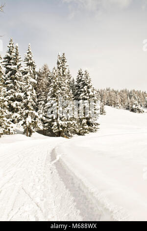 Paesaggi invernali, Torgnon, Valle d'Aosta, Italia Foto Stock