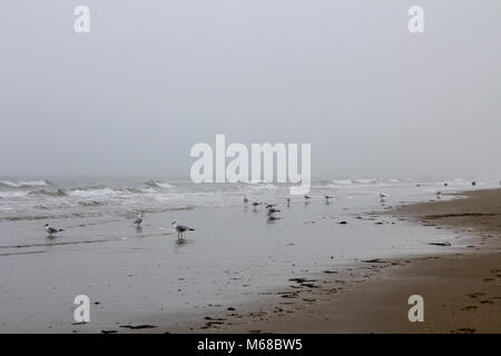 Yaverland beach in una nebbiosa giornata a Marzo, Sandown, Isle of Wight, Regno Unito Foto Stock