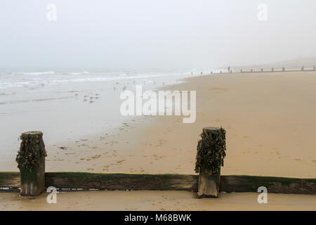 Yaverland beach in una nebbiosa giornata a Marzo, Sandown, Isle of Wight, Regno Unito Foto Stock