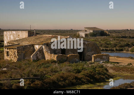 Nelle abitazioni in rovina in salmastre di Bahia de Cadiz, vicino a San Fernando, Andalusia Foto Stock