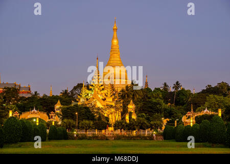 Il golden Shwedagon pagoda, il più sacro pagoda di Myanmar, è situato su una collina nel centro della città e illuminata di notte Foto Stock