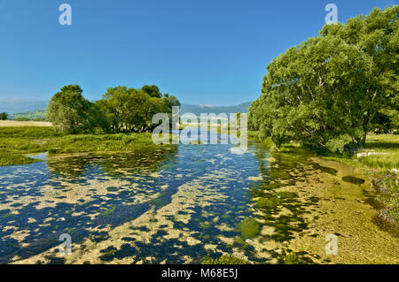 Fiume cetina in Croazia, nell'entroterra dalmata, vicino alla città di vrlika Foto Stock