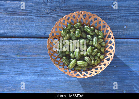 Cucamelons Melothria scabra raccolto in cesto in vimini su blu Tavolo da giardino Foto Stock