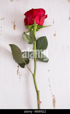 Bella rossa Valentines singolo stelo Rose su un tavolo di legno Foto Stock