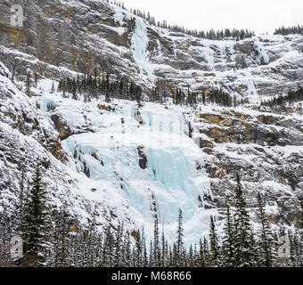 Parete di pianto WI4-6 sulla Icefields Parkway Foto Stock