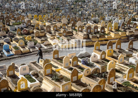 Il cimitero accanto alla Kasbah di Udayas, Rabat. Il Marocco Foto Stock