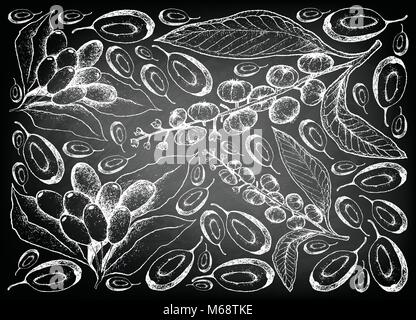 Frutti di bosco, immagine di sfondo di mano il bozzetto di American Pokeweed o semplicemente Pokeweed e Jambolan, Java, prugna prugna nera frutti Illustrazione Vettoriale