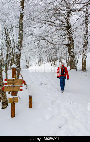 Italia Basilicata Appennino Lucano Parco nazionale di Monte Sirino segno e Trakking Foto Stock