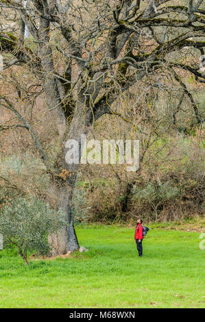 Italia Basilicata San Martino d'Agri,Appennino lucano Parco Nazionale struttura monumentale e man Foto Stock