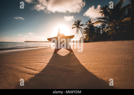 Starfish sull isola tropicale spiaggia a sunrise. Gli alberi di palma, il mare dei Caraibi, Repubblica Dominicana Foto Stock