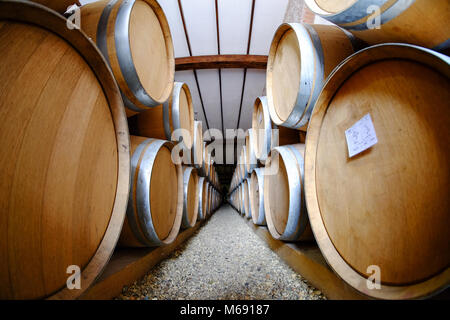 Botti da vino impilati nella vecchia cantina Foto Stock