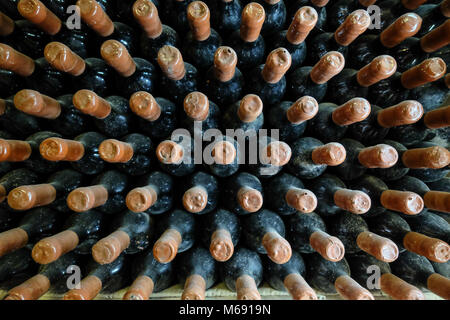 Vecchie bottiglie di vino in cantina. Foto Stock