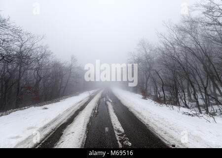 Strada in foggy boschi innevati Foto Stock