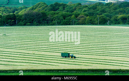 Rendendo il fieno mentre il sole splende come i trattori e trailors raccogliere erba appena tagliata nei campi di LANCASHIRE REGNO UNITO Foto Stock