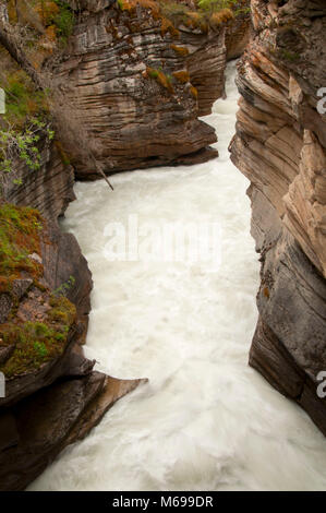 Cascate Athabasca, Jasper National Park, Alberta, Canada Foto Stock
