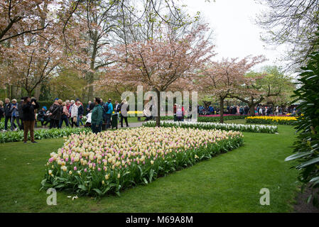 Il Keukenhof, Paesi Bassi - 21 Aprile 2017: visitatori presso il giardino Keukenhof in Lisse, Holland, Paesi Bassi Foto Stock
