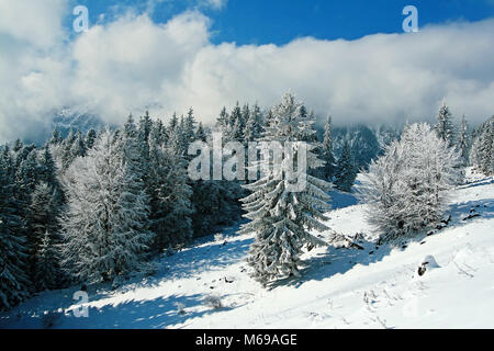 In Piatra Craiului sul modo per Curmatura challet Foto Stock