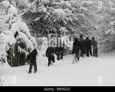 Gruppo di bambini godendo di una nuova caduta di neve profonda. Foto Stock