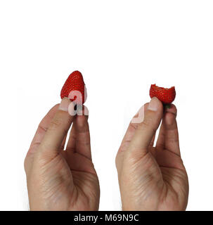 Close up di una mano di un uomo in possesso di un pieno fragola con le sue dita e una mano che tiene una mezza mangiata fragola su sfondo bianco Foto Stock