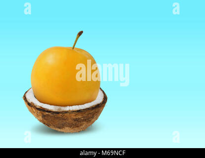 Greengage dentro una noce di cocco tagliata a metà su uno sfondo blu. Combinazione di noce di cocco con greengage Foto Stock