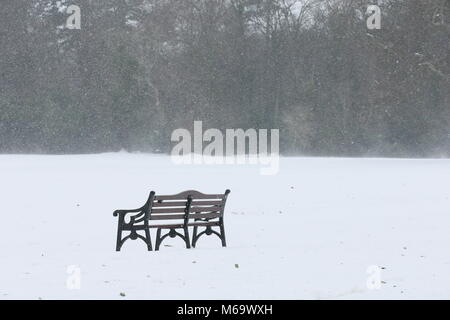 Dublino, Irlanda. 1 Marzo, 2018. Immagine da Dublino, Irlanda amid rosso di stato di cattive condizioni meteorologiche durante il build fino alla tempesta Emma. Esperienze di Dublino neve pesante e blizzard condizioni durante il periodo di brutto tempo.Il clima artico sono comunemente denominato "Bestia da est'. Credito: Brendan Donnelly/Alamy Live News Foto Stock