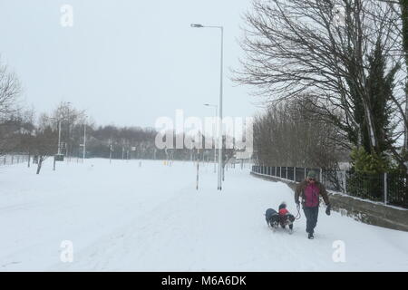 Dublino, Irlanda. 2 Mar, 2018. Una donna cammina due cani attraverso la neve a Dublino. Immagine da Ballinteer a Dublino in Irlanda nel mezzo di stato rosso di cattive condizioni meteorologiche durante la tempesta Emma. L'Irlanda va in blocco verso il basso come tempesta Emma pastelle il paese con forti nevicate e tempeste. Credito: Brendan Donnelly/Alamy Live News Foto Stock