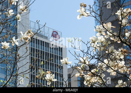 (180302) -- PECHINO, 2 marzo 2018 (Xinhua) -- Foto scattata il 31 marzo 2017 mostra la sede dell'infrastruttura Asia Investment Bank (AIIB) a Pechino, capitale della Cina. Con la Cina è pensato per le riunioni annuali del suo piano legislativo e politico degli organismi consultivi, il global spotlight è su Pechino alla ricerca di indizi su come il world heavyweight riprodurre sulla scena internazionale dopo il significativo "due sessioni." In un mondo devastato da gravi sfide nello sviluppo, la governance e la sicurezza, i leader e gli osservatori di tutto il mondo dicono che guidati dal Presidente cinese Xi Ji Foto Stock